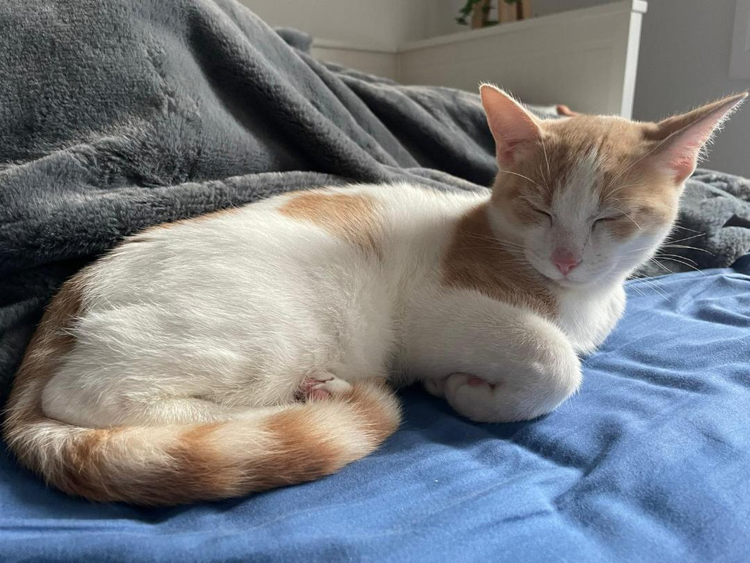 Tao - Décembre 2022 - 1