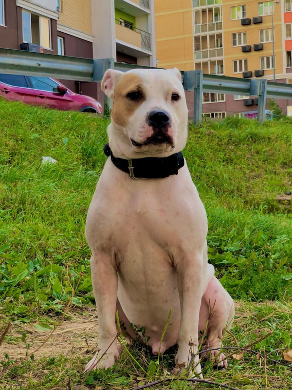 B6F966AA-E4C2-49B2-9119-DB34B4D9C8BC