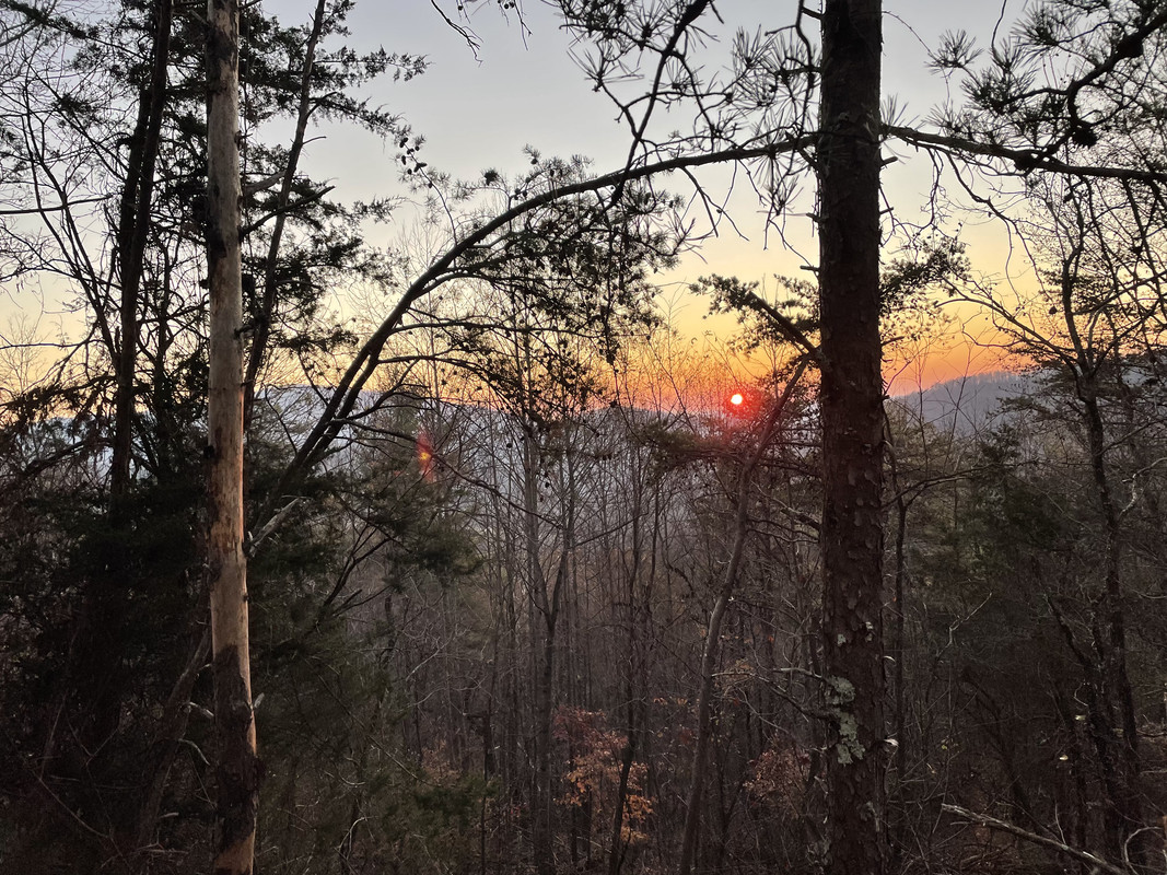 12A1344B-6D77-4170-832F-DAA82659DF9F