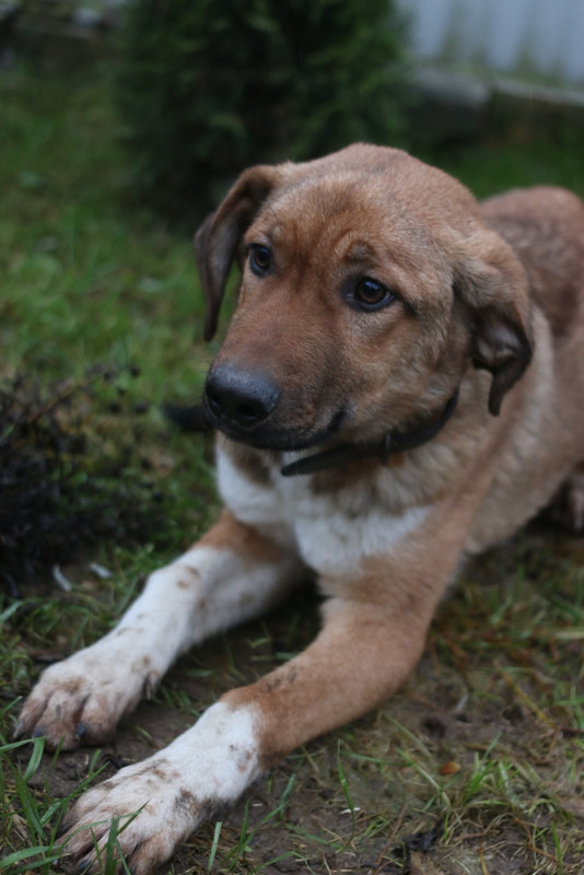 изображение_viber_2021-07-20_10-46-46-851