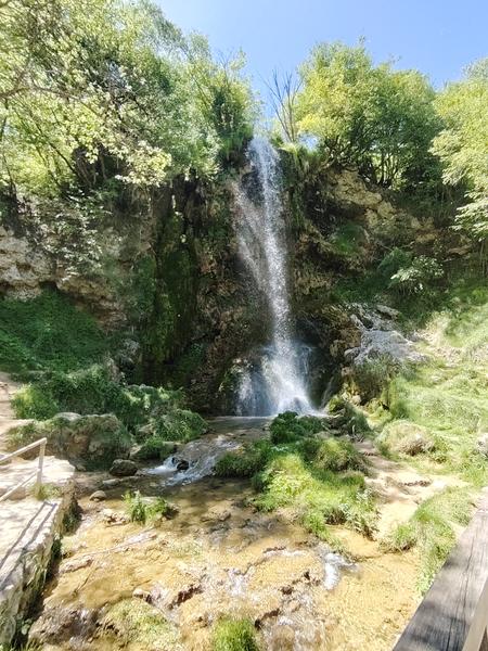 Slika