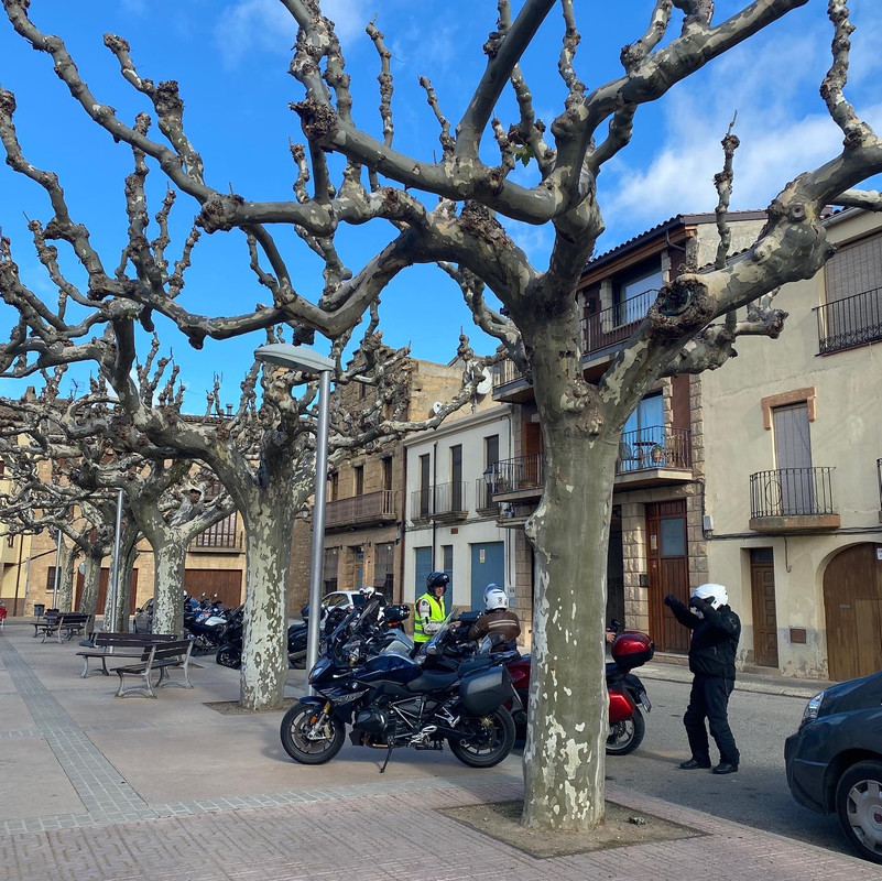 A5CF35BA-BAFF-4F8F-8C60-BB3042CEDDD8