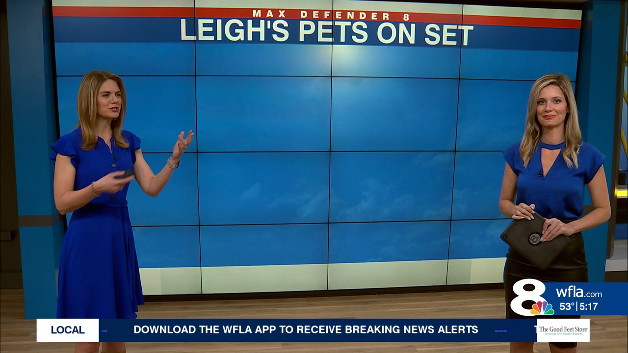 12.23 - 09.30.00 - News Ch8 Today at 4 30AM..ts_snapshot_00.52.43.255