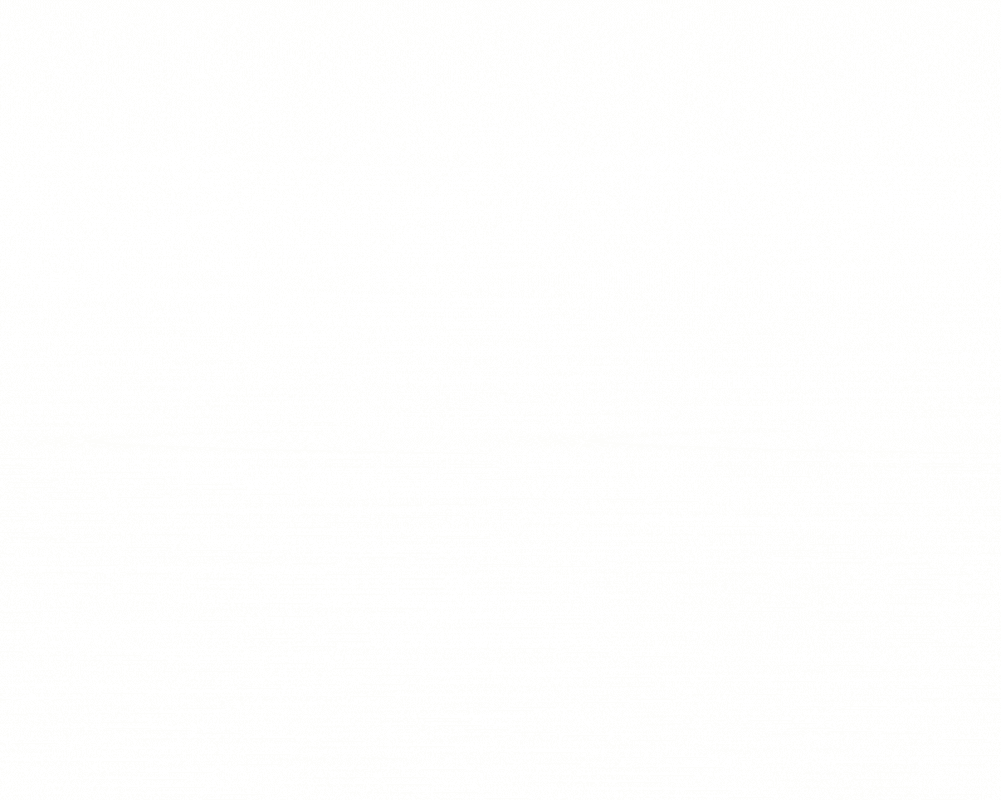 SSRP-3.gif