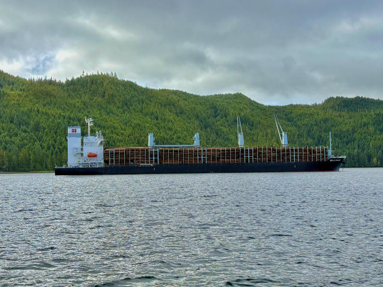 log-ship-1