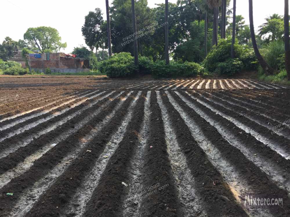 BBG&B6AroundTheGuesthousePics - 10