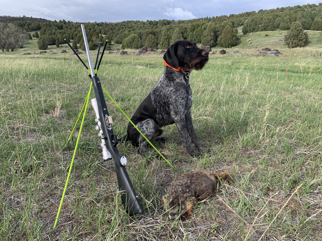 C6870FE5-FB4B-4D8D-9782-1760D484DAB6