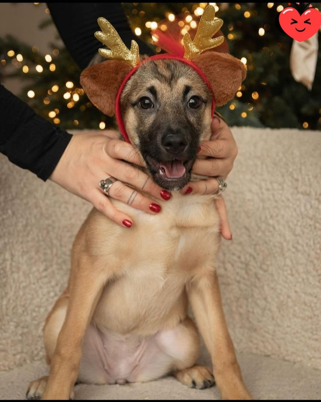 Screenshot_20231231-162912_Gallery