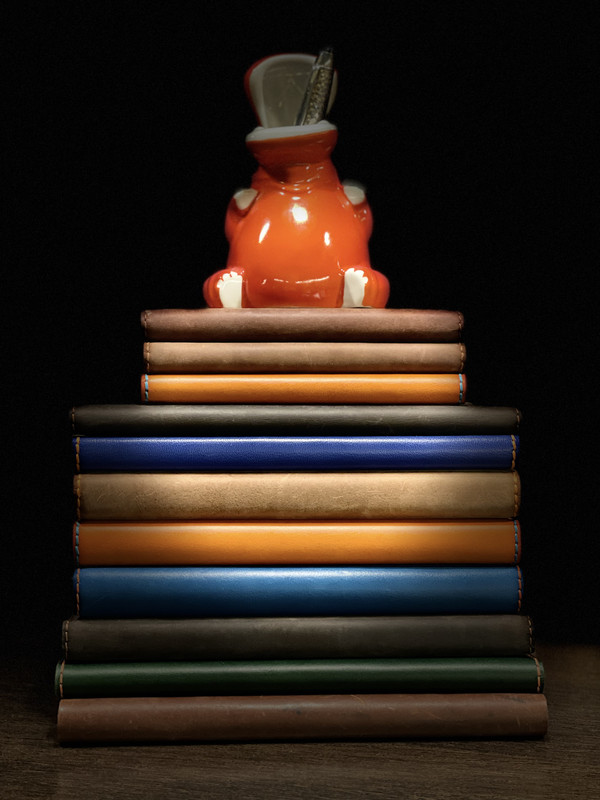 EF73E3BA-BF55-4A66-93AC-8D722FC06C1D