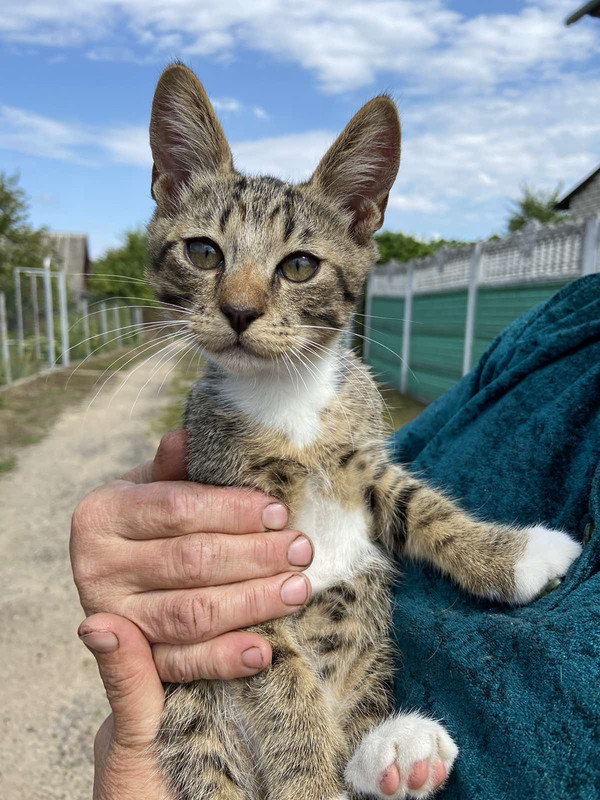 AE9CE05F-8664-4C7A-A256-D3EE1852B6C6