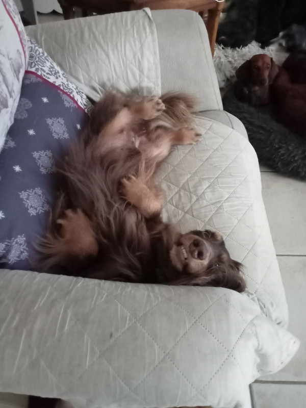 [Image: IMG-20241202-161341.jpg]