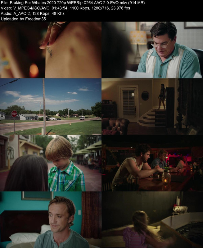 Braking-For-Whales-2020-720p-WEBRip-X264