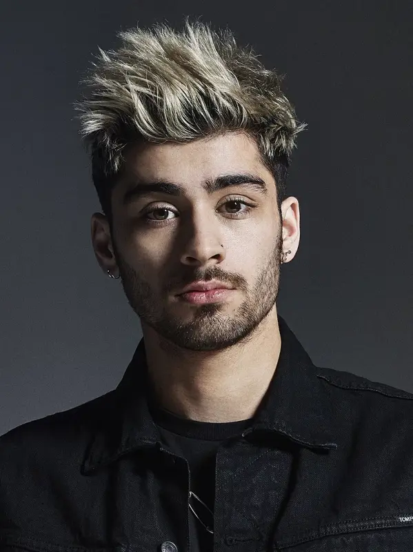 800px-Zayn-Wiki-cropped.webp