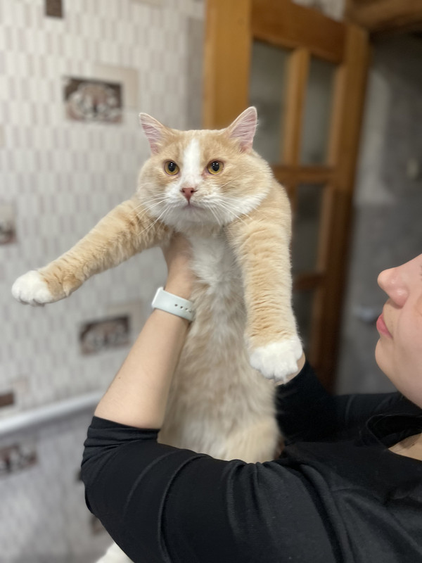 E93C20FA-DD0A-4256-ADF1-D2D168D533AA