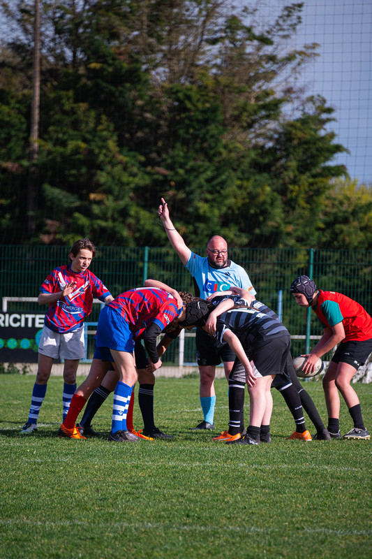 tournoi-de-latlantique-2026-adonis-griffon-247-55181507169-l