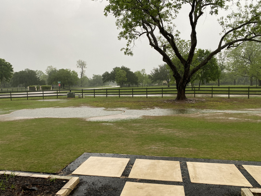 9D2CBEA9-D512-445C-BCE3-3580552D9EA6