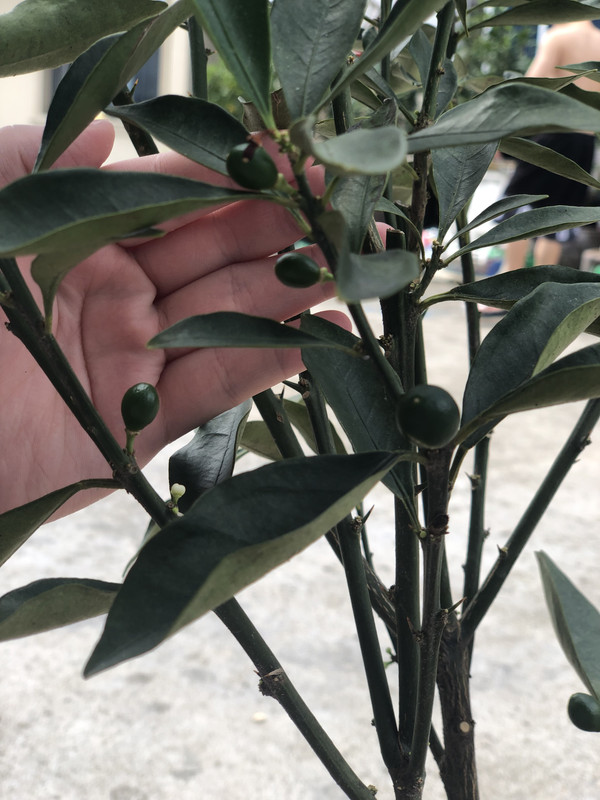 微信图片_20240909164922