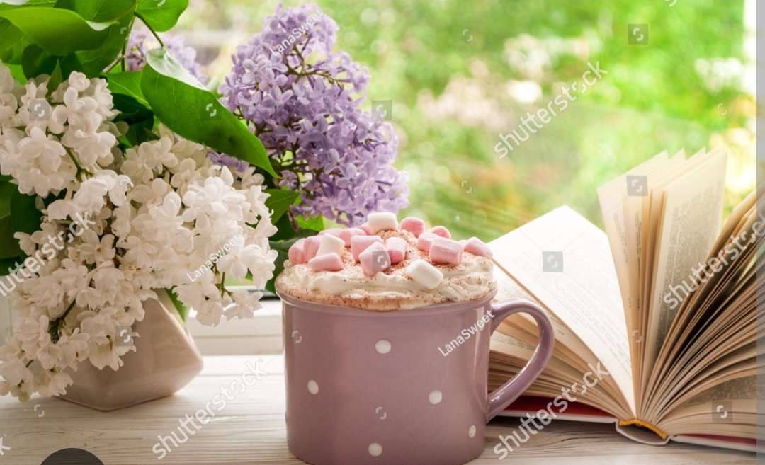 Screenshot_20221126-003950_Chrome