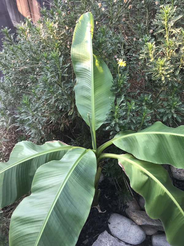 95192EBB-709D-4431-8B16-3745E26F64A9