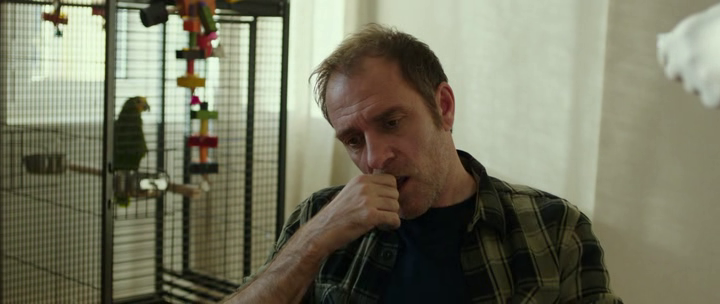 vlcsnap-2019-02-13-18h32m41s541