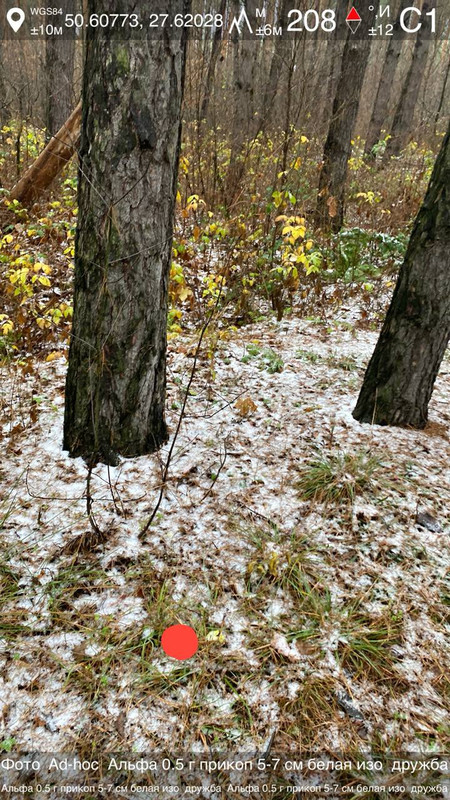 photo 34 2025 11 23 13 25 48