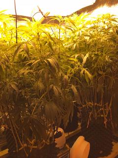 CDE0EAD5-38F7-4DC7-B6B9-03BAF0E096EC