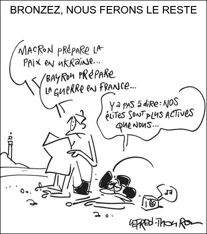 text alternatif