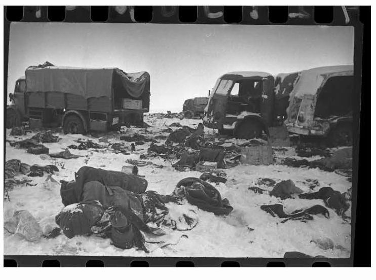 Средний Дон 1942-1943