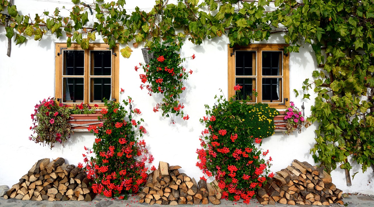 multi-ivy-529767-1280.jpg
