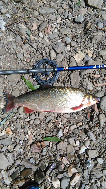 IMG_20170805_152539[1]