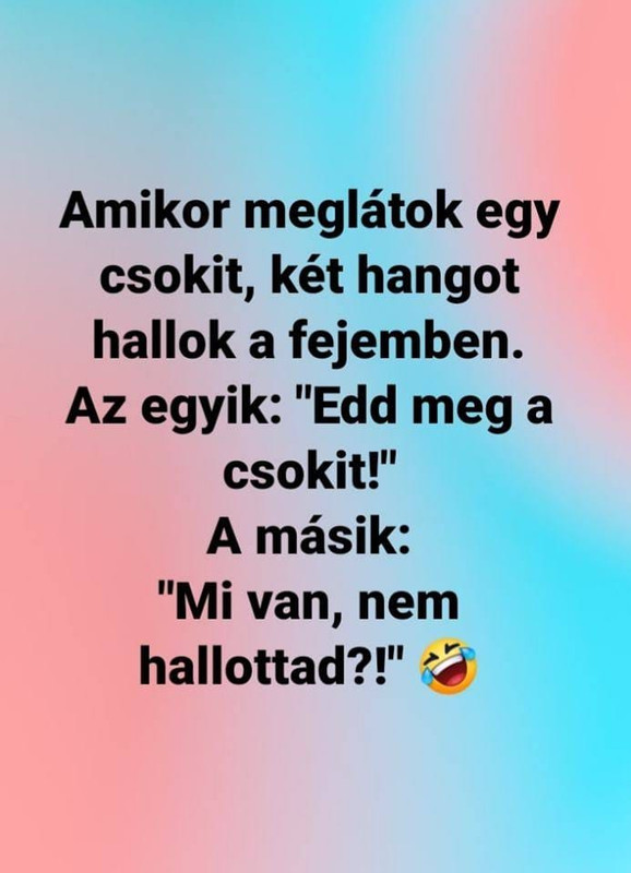 Kép