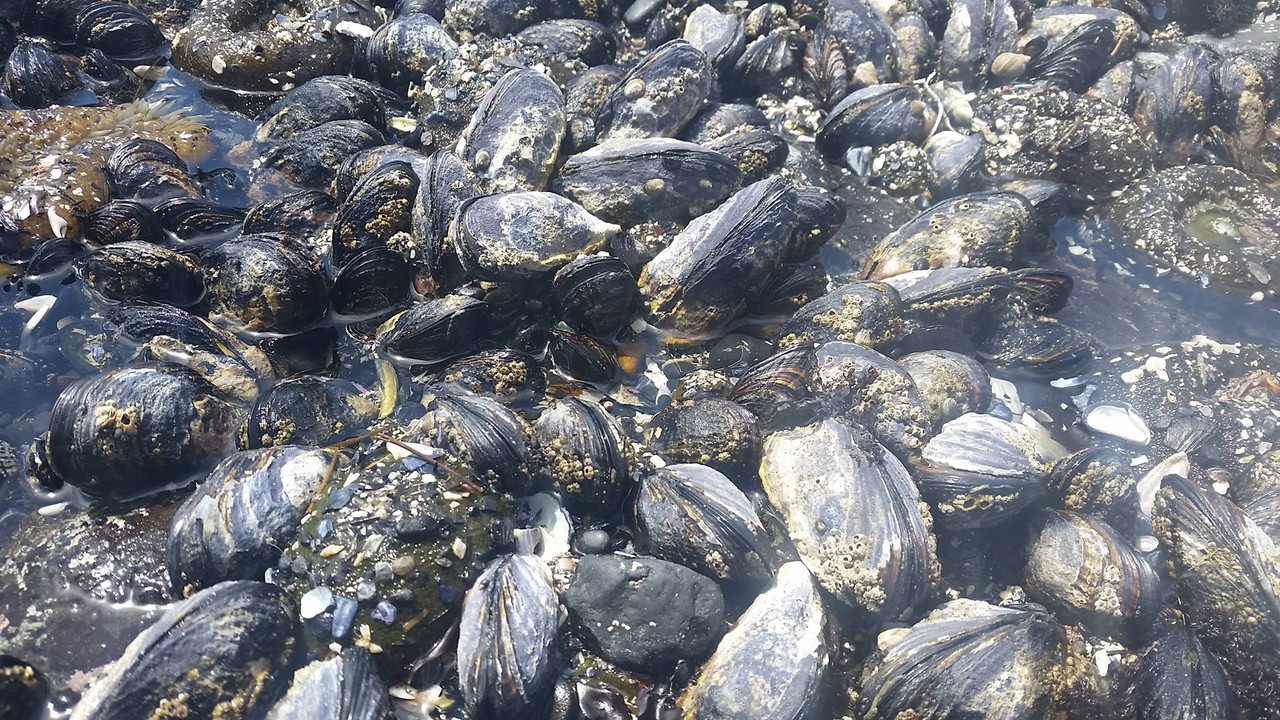 [Image: 18891655-1886219704726826-4597113164553634753-o.jpg]