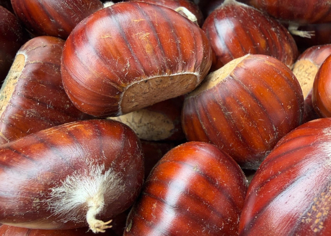 Marroni Segnini freschi - dettaglio prodotto 3