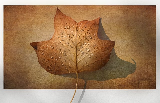 Autumn-Paper.jpg