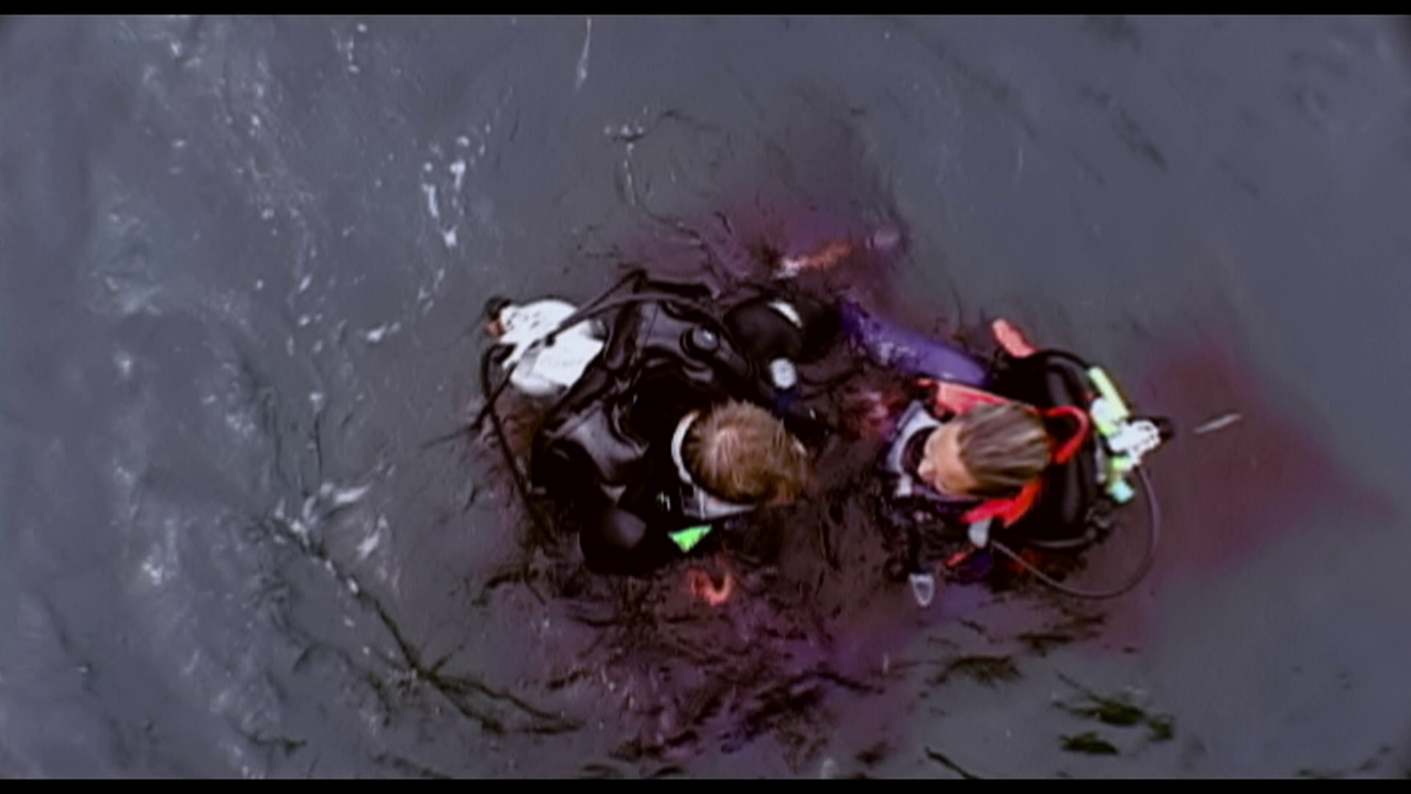 vlcsnap-2023-02-06-21h58m46s417