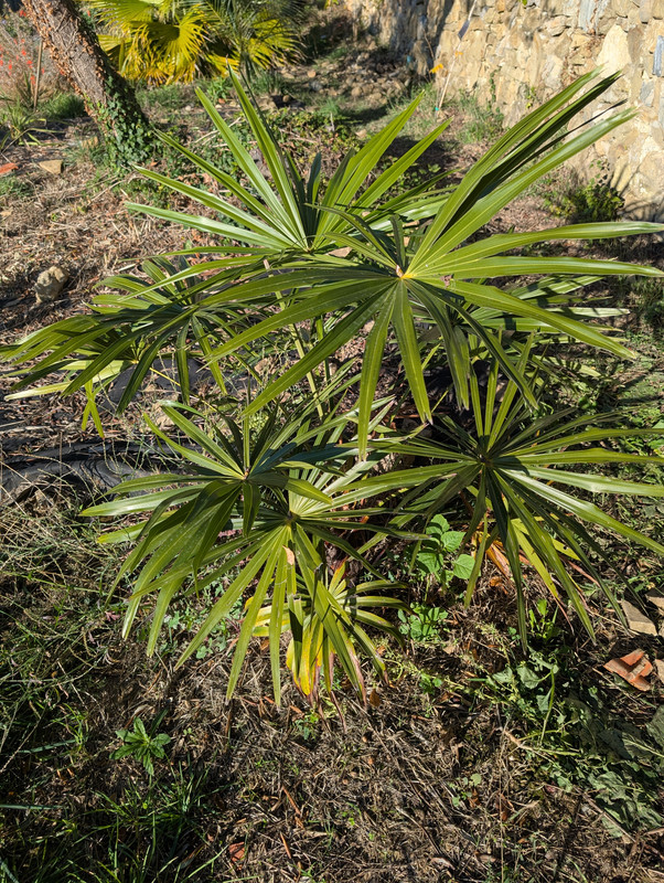 PXL 20251103 142834370 MP