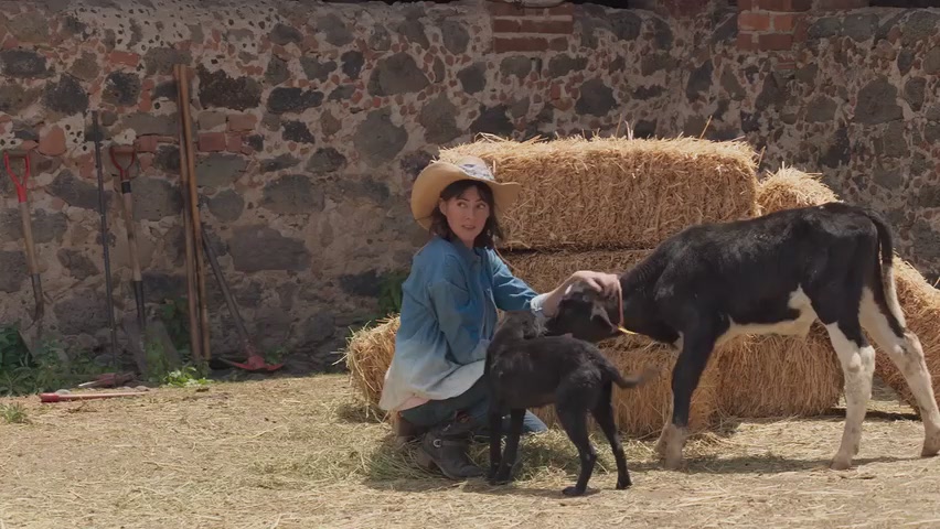 https://i.postimg.cc/c4fG8N2x/04-09-52-46.jpg