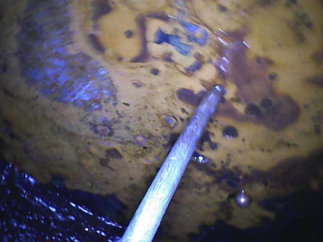 Photo 2025 10 10 17 11 52 782