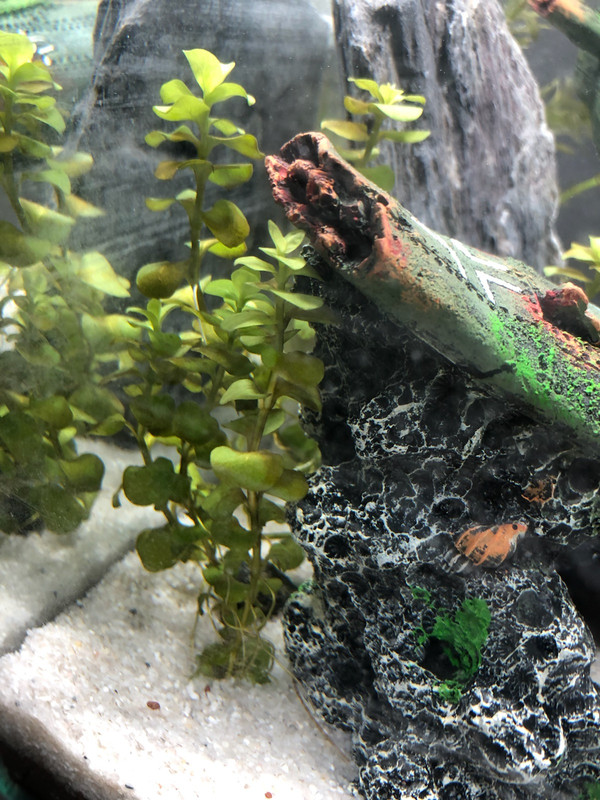 90972953-09DA-443F-BF13-7690AA090035