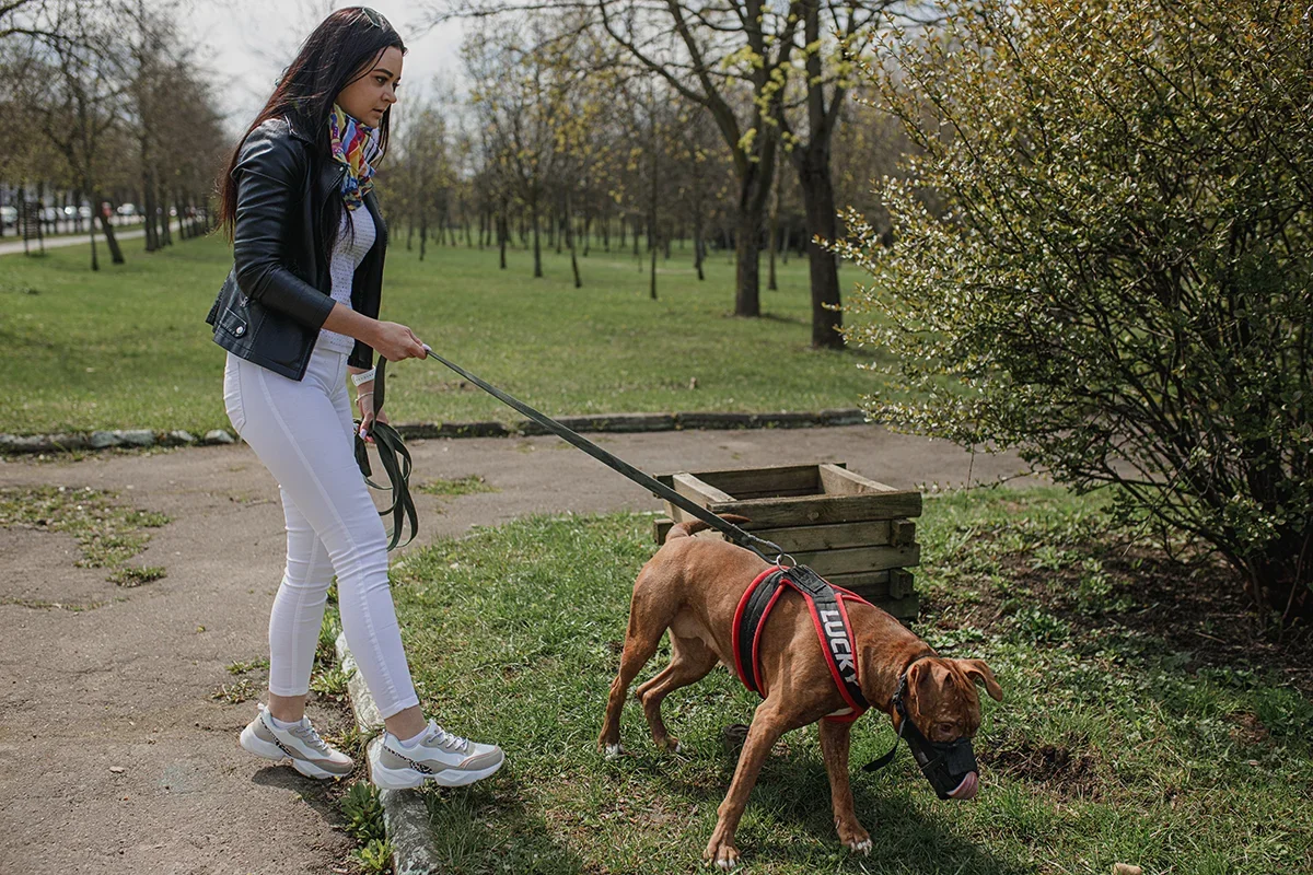 0B3C07B0-12D2-4E12-A215-ED239AD089CF