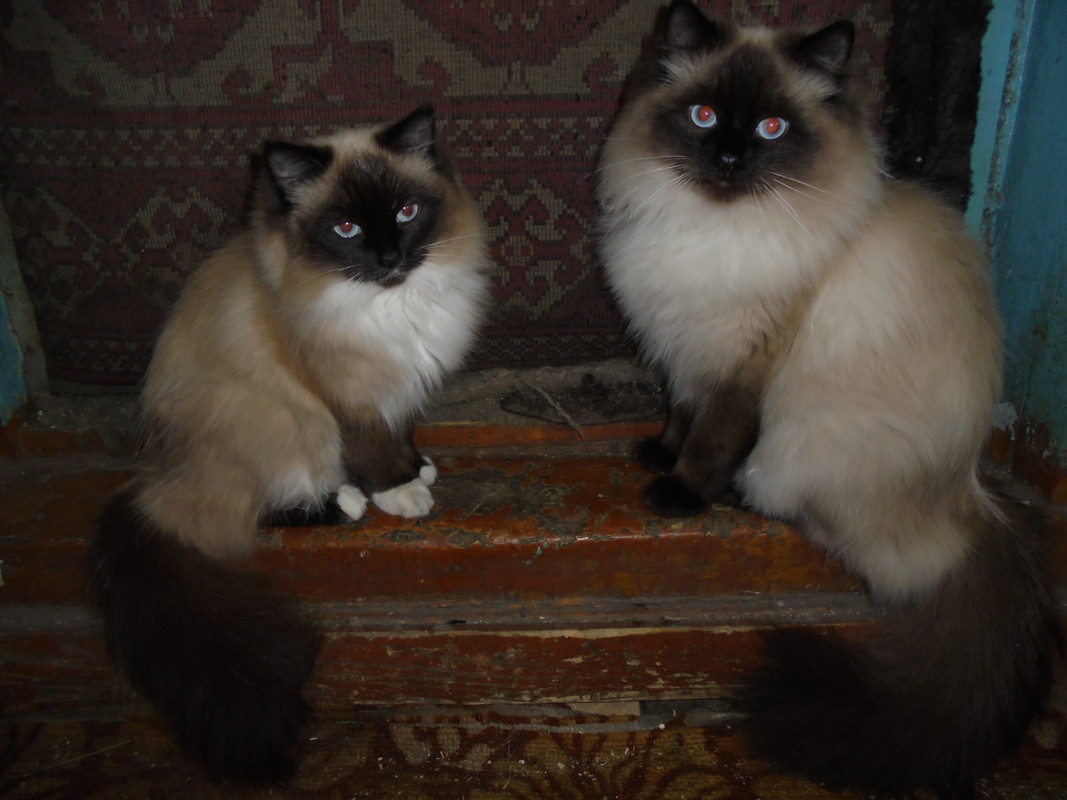 DSC01306.jpg
