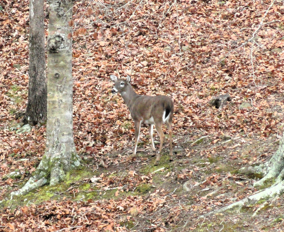 DSC07084.jpg