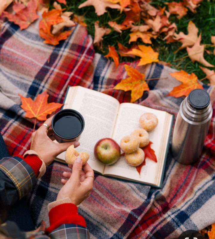 Screenshot_20231031_221026_Pinterest