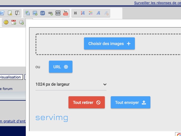 Le site Servimg est-il en panne ? Screenshot-2022-02-28-14-32-45-256