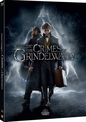 Animali Fantastici - I Crimini Di Grindelwald (2018) .mkv iTA-ENG Bluray 1080p x264