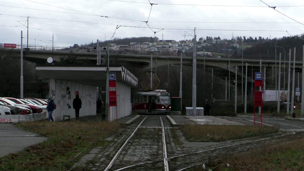 [Bild: S8490027.jpg]