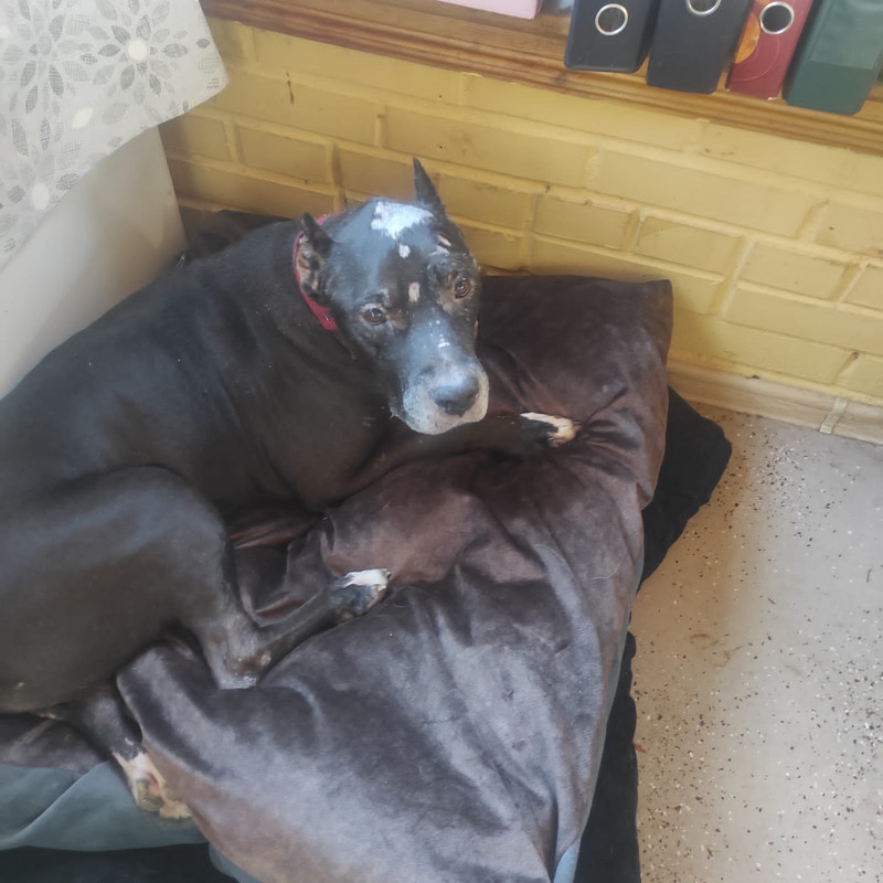 4928550E-7FD4-4C3A-B20E-429BF4B60B76