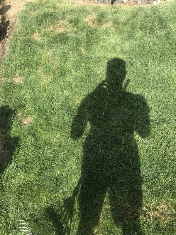 89BF4404-8B1E-4EE0-9673-5634FDEFE5C0