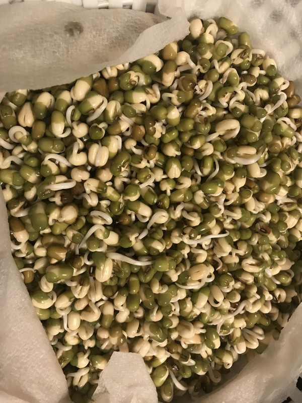 6BEBAE02-118D-491D-97A4-1621CF813D07