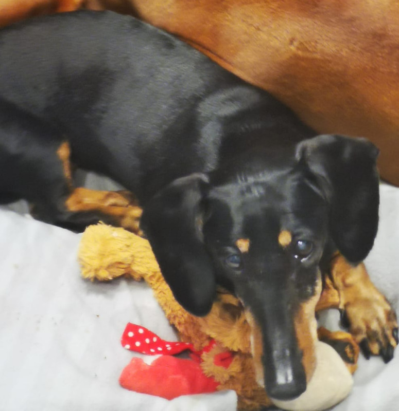 [Image: 20220822-215051.jpg]